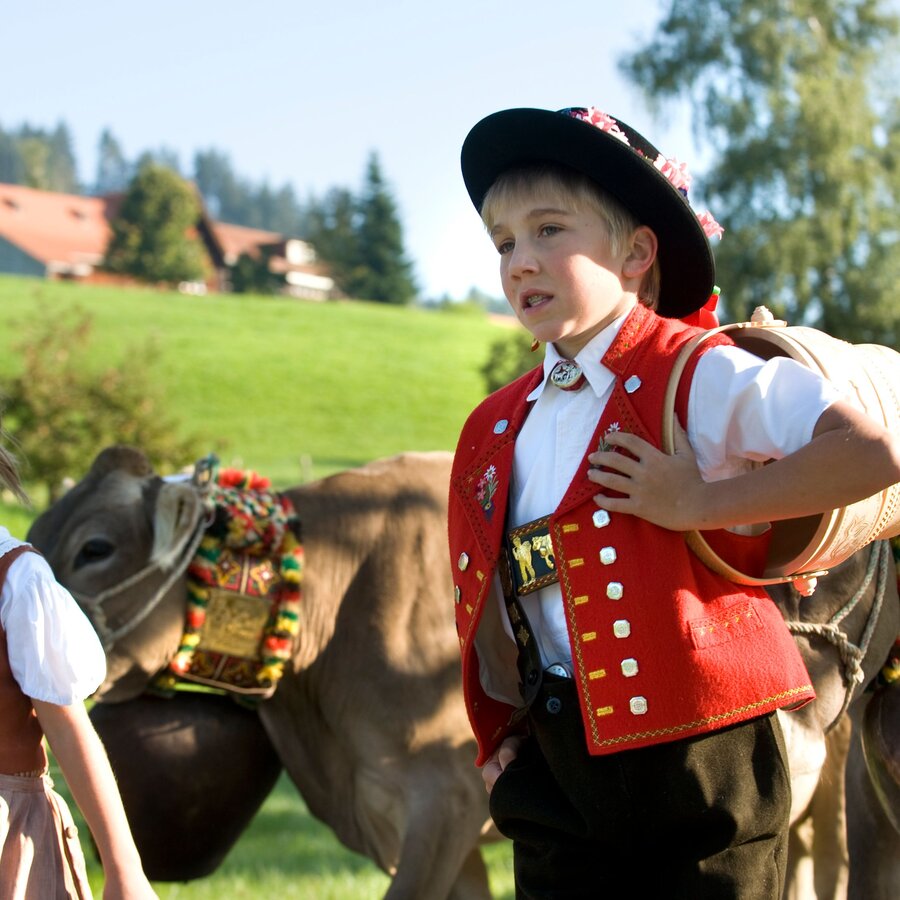 Urnäsch Alpabfahrt und Bauernmarkt - Rapperswil - annlliert